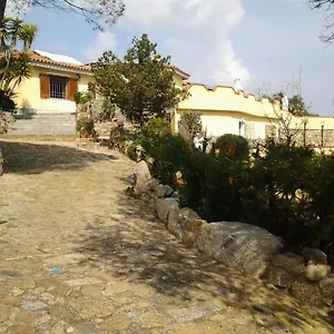  Frühstückspension La Fonte Dell'ulivo 3